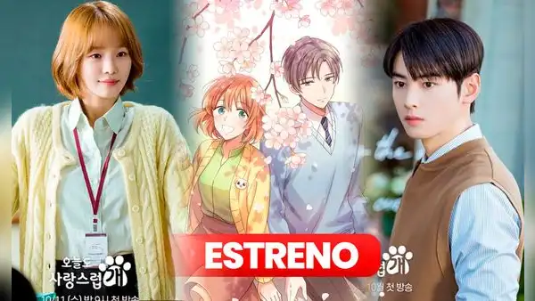 'A Good Day To Be A Dog': fecha de estreno, sinopsis, reparto y todo sobre la serie con Cha Eunwoo