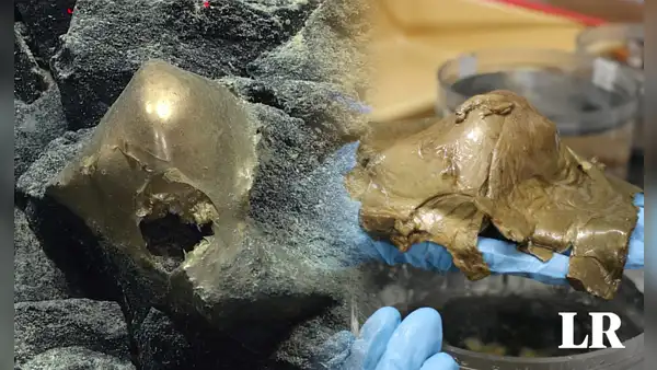 Misterio por el objeto dorado de origen biológico hallado a 3.000 metros bajo el océano Pacífico
