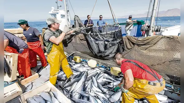 Congreso: José Cueto plantea ley para perpetuar a exmarinos en Imarpe