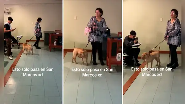 Profesora de la UNMSM llega con su perrito a dictar clase: “Firulais también quiere su título”
