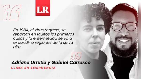 A ritmo de dengue (primera parte), por Adriana Urrutia y Gabriel Carrasco