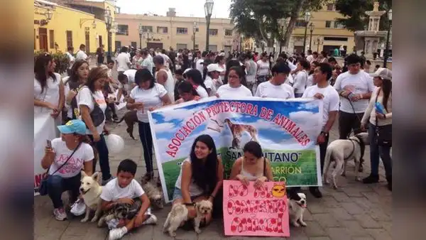 Protestan tras liberación de sujeto acusado de abusar de una perrita en Tumbes