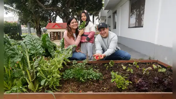 El club de los huertos caseros