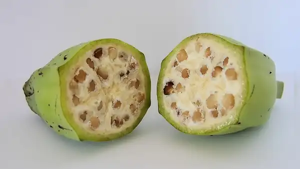 Así era el plátano en su forma original hace 7.000 años: tenía semillas y casi no era comestible