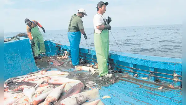 Produce avala legalizar más de 1.000 barcos en proceso caduco