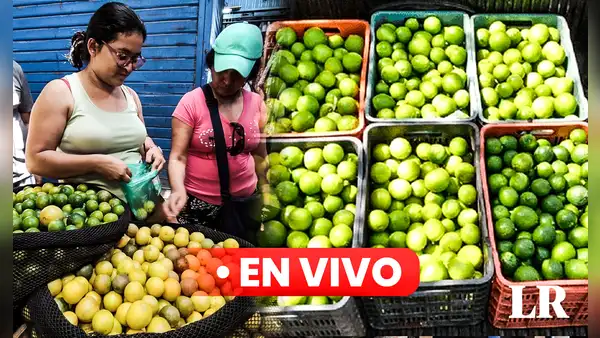 Precio del limón HOY 21 de septiembre: cuánto cuesta el kilo en Lima y regiones del Perú