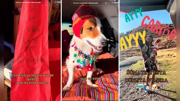 Perrito uruguayo visita el Perú y ahora es más peruano que la papa