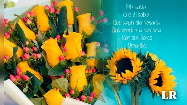 Flores amarillas: imágenes con frases para dedicar este 21 de septiembre en Chile