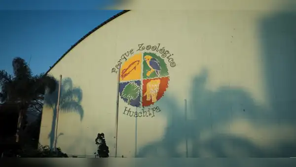 Zoológico Huachipa reabriría sus puertas en octubre: conoce los precios y quiénes tendrán pase libre