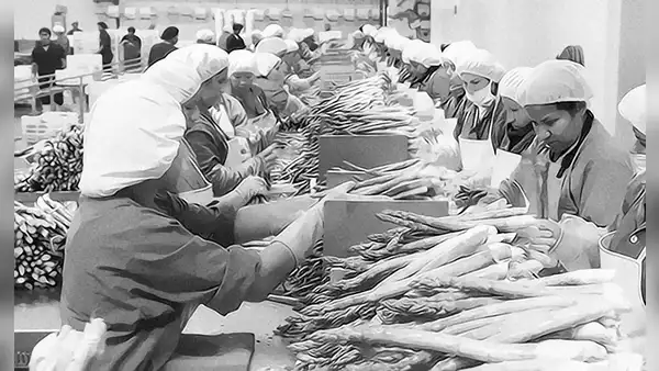 Economía social de mercado: entre lo formal y real, por Kurt Burneo