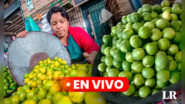 Precio del limón HOY 25 de septiembre: cuánto cuesta el kilo en Lima y regiones del Perú