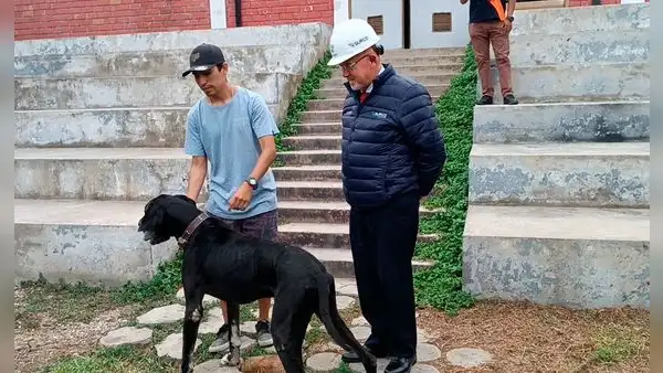 Surco: familia se reencuentra con Figo, su perrito perdido durante 4 años