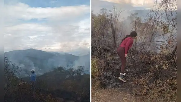 Incendio forestal lleva 3 días activo y ha consumido casi 80.000 hectáreas en Piura