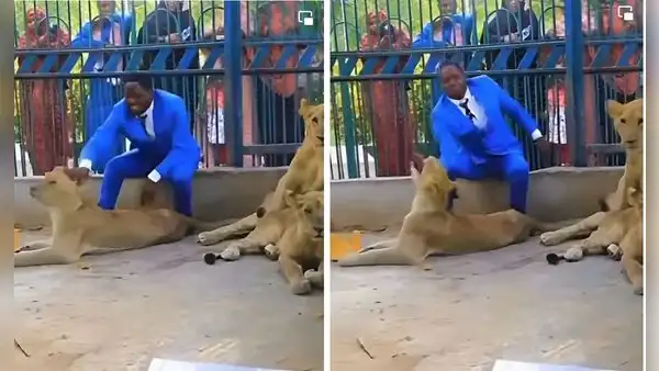 Pastor se mete a jaula con leones para recrear un pasaje bíblico y le muerden el brazo