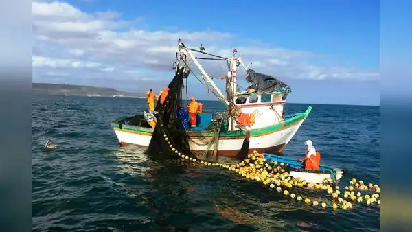 China desplaza al Perú como primer pescador de pota en el mundo