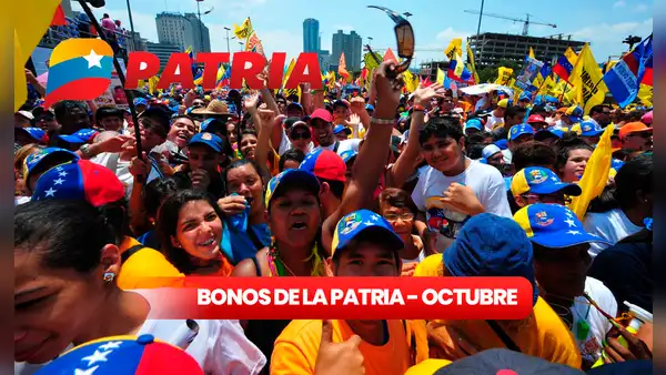Bonos de la Patria: revisa todos los subsidios que puedes cobrar HOY en Patria