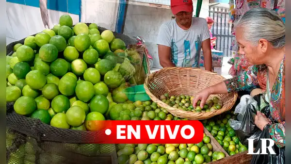 Precio del limón HOY 6 de octubre: cuánto cuesta el kilo en Lima y regiones del Perú