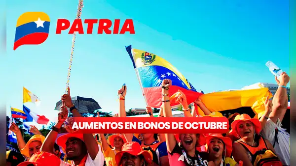 Bonos de la Patria: estos son los aumentos en los subsidios de octubre
