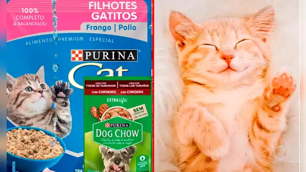 Indecopi ordenó RETIRAR del mercado 28 productos de Nestlé para mascotas: el motivo
