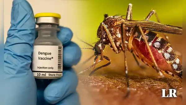 OMS recomienda uso de la primera vacuna contra el dengue ante alza de casos en Latinoamérica