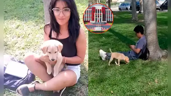 Estudiante de la UNI va a clases en compañía de su mascota: “No lo puedo dejar solo en casa”
