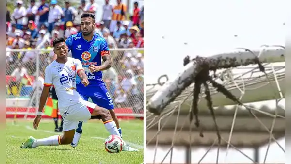 Solo en la Liga 1: captan gran cantidad de abejas en un arco durante el Atlético Grau vs. Alianza Atlético