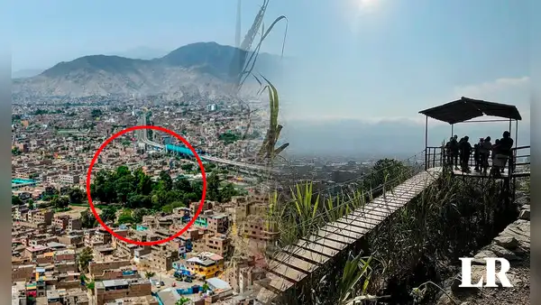 ¿Cuál es el ÚNICO distrito de Lima que tiene una impactante selva escondida?