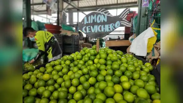 Precio mayorista del limón ha caído hasta 54% en lo que va de octubre