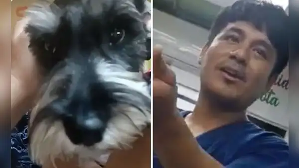 Maltrato animal en SJL: golpean y ahorcan a perrito mientras lo bañaban en veterinaria