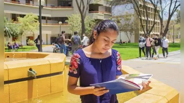 Beca 18: conoce el cronograma, los requisitos y plazos de la convocatoria de Pronabec