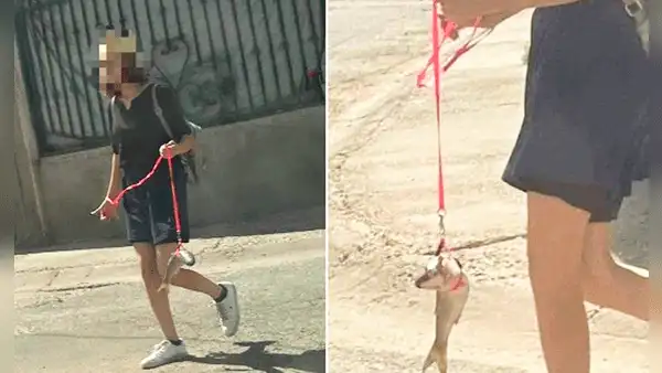 Mujer mexicana pasea a un 'pez' como si fuera un perro y asombra en las redes sociales