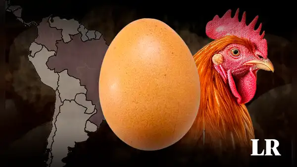 Este es el país de América Latina que consume más huevos y domina la producción en la región