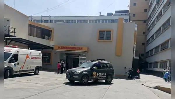 Falleció paciente diagnosticada con rabia humana tras mordedura de perro en Arequipa