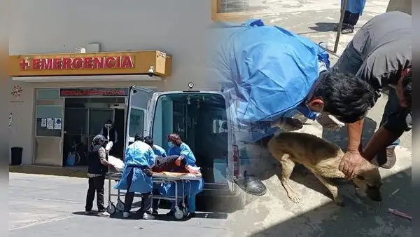 Rabia humana: ¿se puede contagiar de persona a persona y cómo avanza el virus?, esto dicen los especialistas