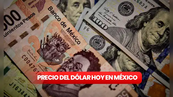 ¿Cuánto cuesta el dólar HOY, 19 de octubre de 2023, en México?