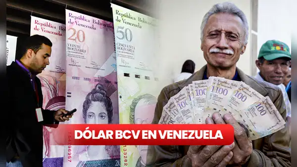 Dólar BCV HOY, lunes 23 de octubre 2023: conoce el precio del dólar en Venezuela