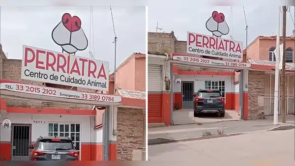 Perriatra, el gracioso nombre de una veterinaria que es viral en redes: “Los atiende una 'dogtora'”