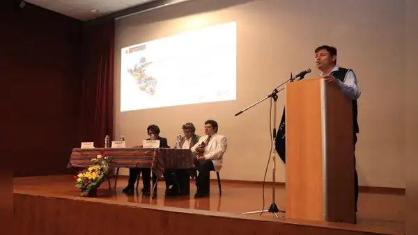 Males de salud mental que aquejan en Arequipa son depresión y violencia
