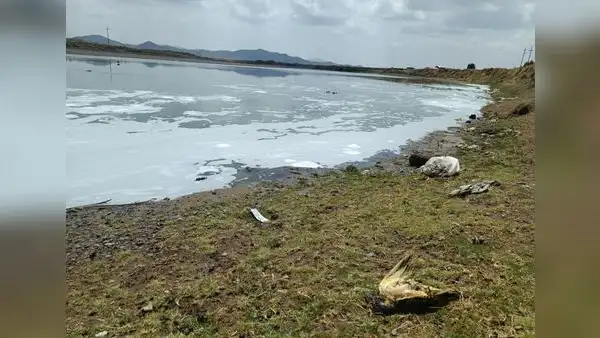 Puno: aguas negras de Juliaca no serán vertidas a río Coata