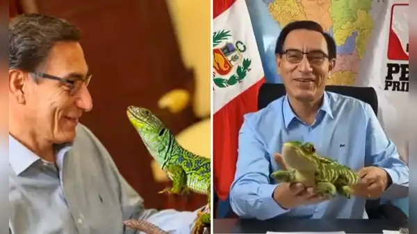 Vizcarra dice que "venderá" peluches de lagarto en Navidad: "Para financiar el partido"