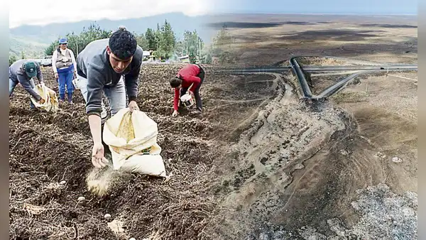 Sistema hídrico integral del valle Chancay: ¿cuántos puestos de trabajos generaría en Lambayeque?