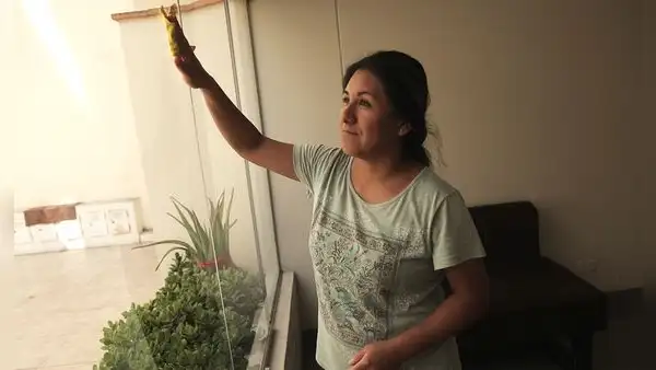 Siete de cada diez mujeres se encarga de labores del hogar sin remuneración