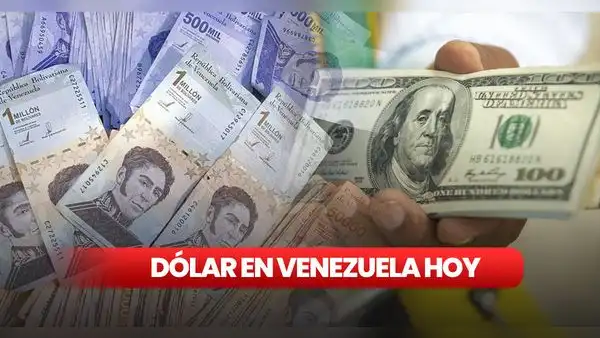 Dólar BCV HOY, sábado 28 de octubre 2023: conoce el precio del dólar en Venezuela