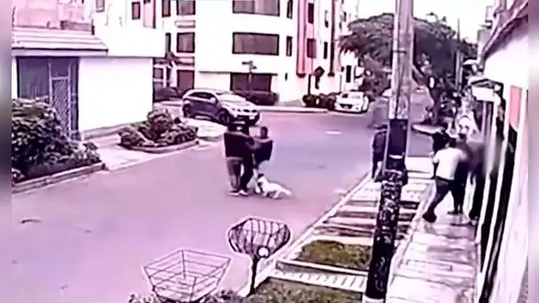 ¿Nueva modalidad? Hombre se hace pasar como paseador de perro y roba celular en Surco