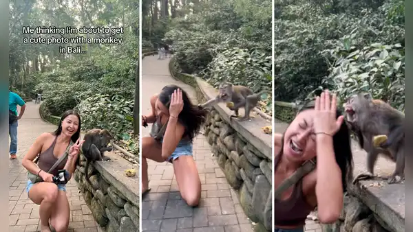 Joven se acerca a mono para tomarse una foto mientras comía, este enfurece y todo termina mal