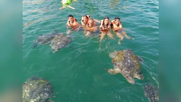 Zona de anidación de tortugas marinas: ¿dónde queda este atractivo turístico?