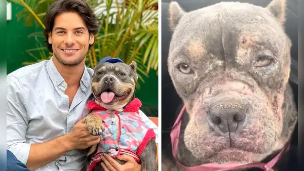 Andrés Wiese: conoce la difícil historia de su perrita Menta y la enfermedad que ahora padece
