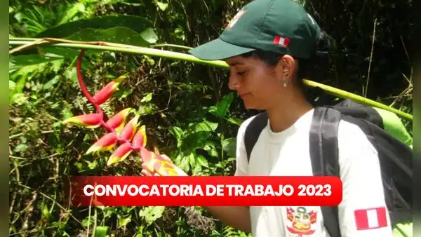 Sernanp abre convocatoria de trabajo para personas con primaria completa: ¡sueldos desde S/1.400!