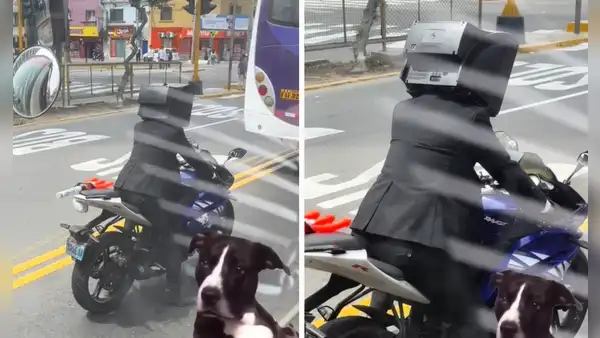 Hombre asombra por utilizar un ‘televisor’ en la cabeza y usuarios reaccionan: “Esto solo pasa en Perú”
