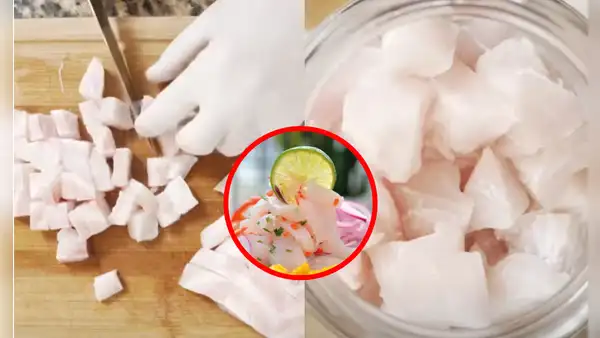 Chef peruano revela cuáles son los mejores pescados para preparar CEVICHE y genera debate: ¿y la corvina?